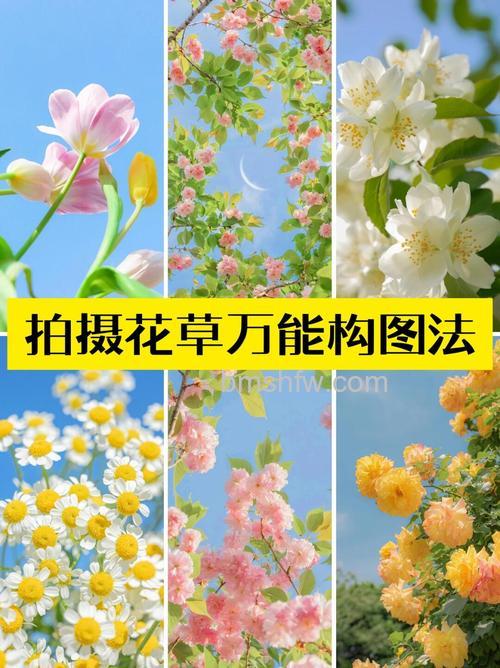 如何拍出不一样的花卉照片?6个简单技巧让你的作品脱颖而出