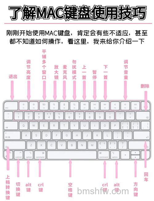 苹果电脑键盘失灵怎么办？笔记本键盘解决办法【详解】