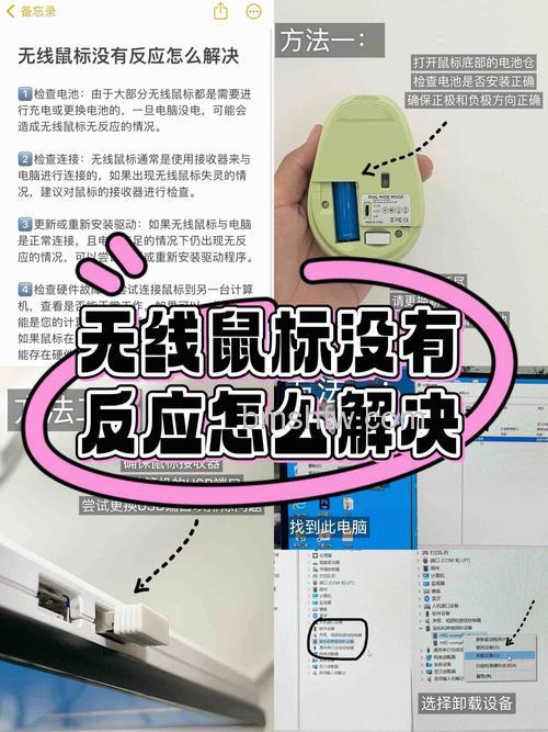 罗技M215无线鼠标没反应怎么办?详细解决步骤与价格驱动全解析