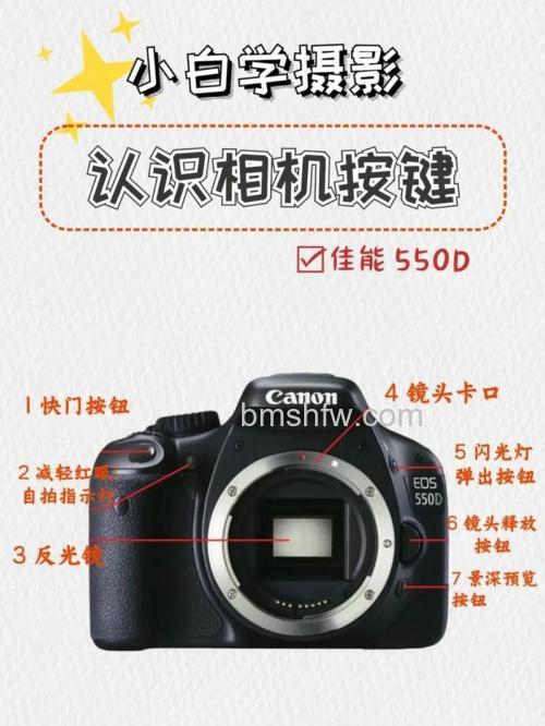 佳能EOS 550D使用教程解析:安装、全自动模式拍摄与对焦操作全攻略