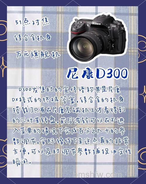 尼康D3100报价介绍:入门级单反价格与评测