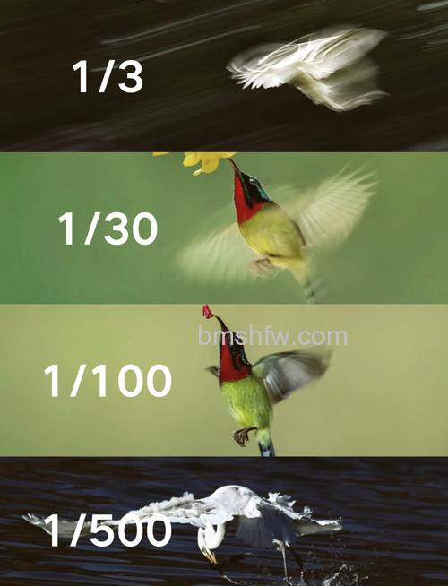 快门速度是什么?它与光圈最佳组合的准则又有哪些?