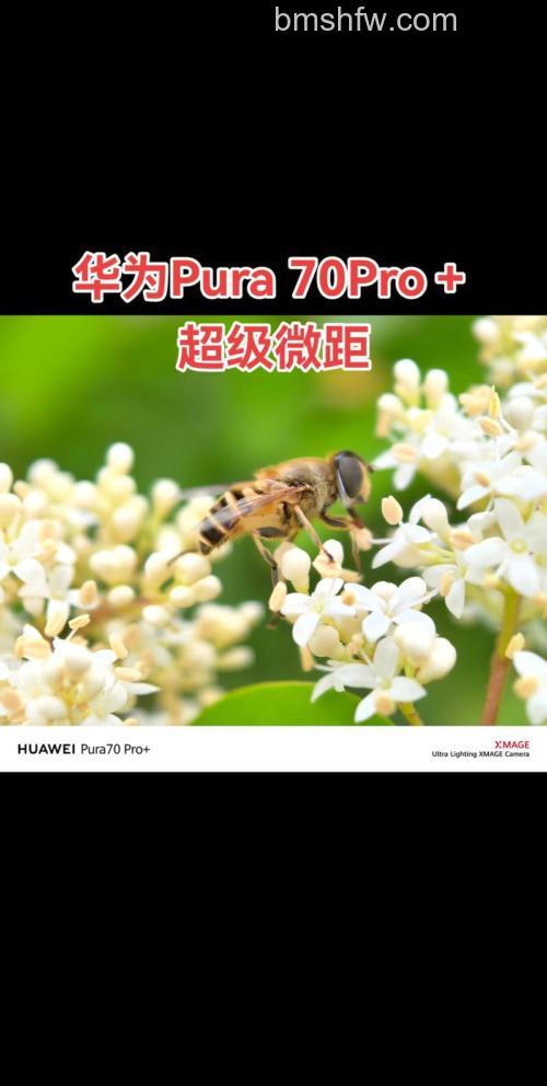 华为影像XMAGE是什么?华为影像XMAGE介绍【详解】