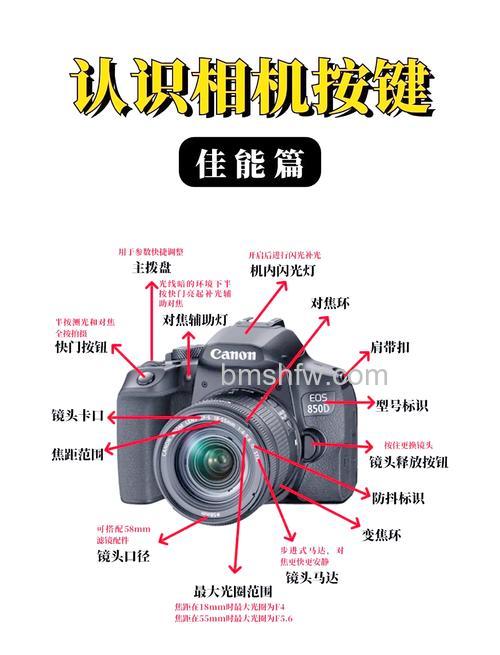 佳能1DX使用技巧:如何拍摄体育照片【图解】