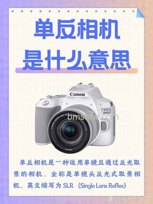 何为单反相机?详细解析与选购指南