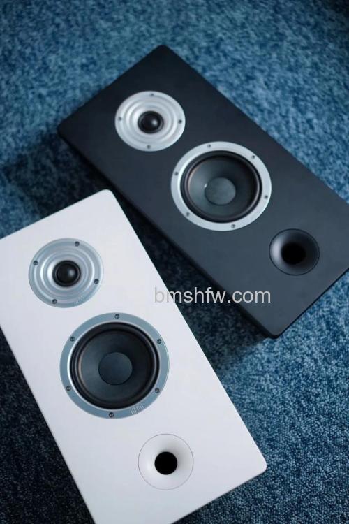 壁挂音响有哪些好品牌？知名品牌推荐