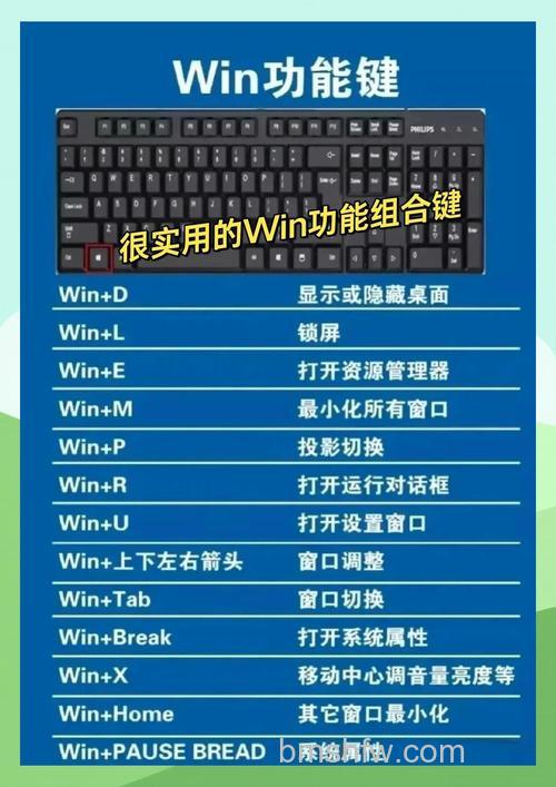 笔记本电脑键盘怎么解锁？多种方法详解