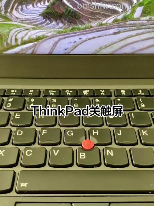 戴尔笔记本怎么关闭触摸板