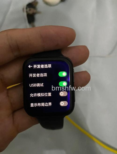 OPPO Watch 2怎么查真伪?怎么查询序列号