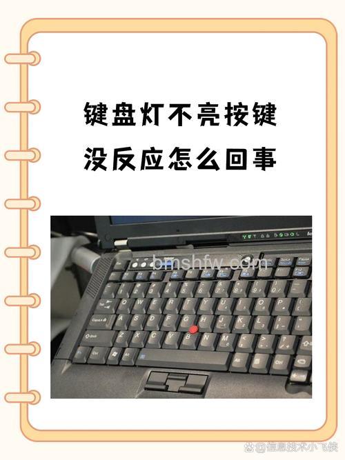 为什么键盘没反应了？键盘没反应原因分析及解决方法