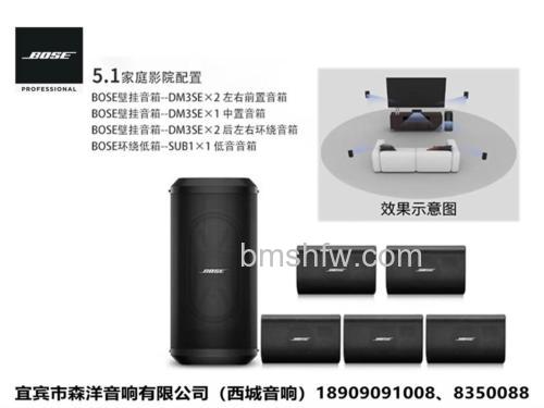 博士音响好不好?博士音响优点与特点详解