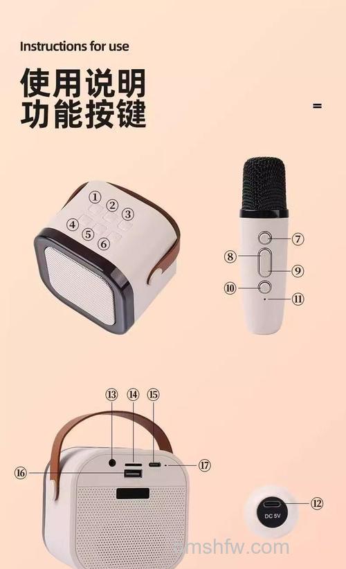 麦克风音响怎么样?安装步骤与详细方法介绍