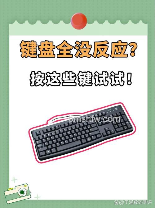 无线键盘没反应?常见原因与解决方法
