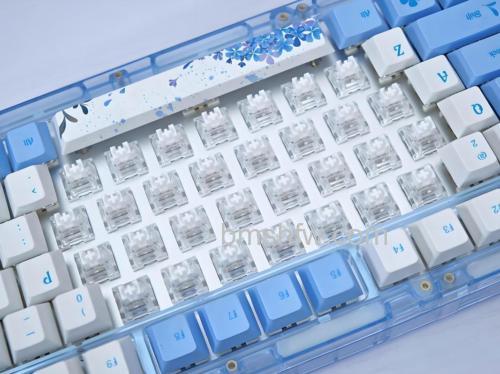 机械键盘什么轴好？常见轴体特点与选择指南
