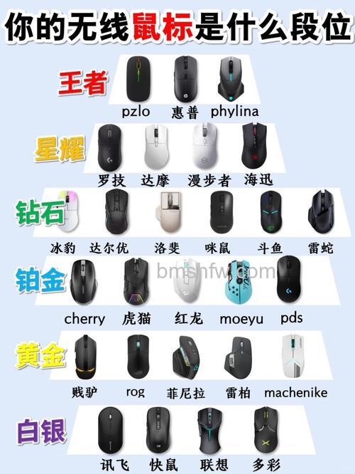 鼠标是什么:从工作原理到分类的全面解析