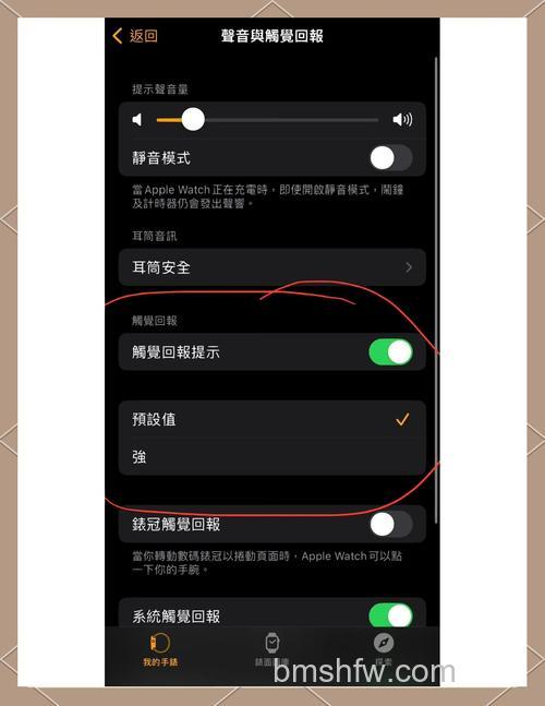 Apple Watch 6怎么静音 关闭提示音方法