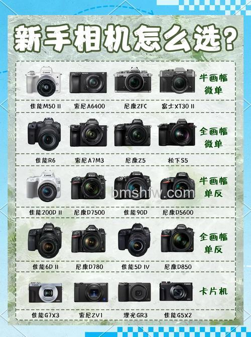 高性价比数码相机推荐:四款热门机型详解