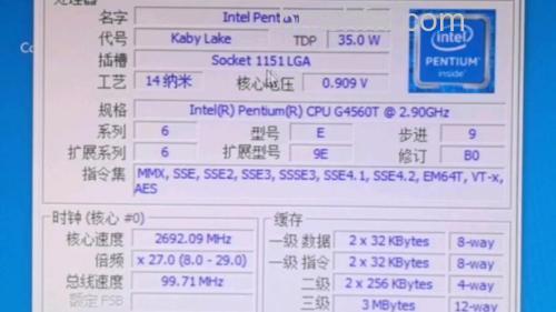 奔腾G620内核电压及参数详解