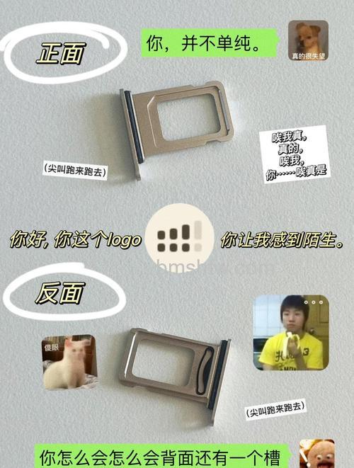 iPhone 13如何绑定银行卡?绑定银行卡方法【教程】