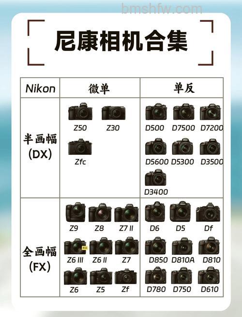 尼康单反相机哪款好？全画幅与C画幅性价比机型推荐图解