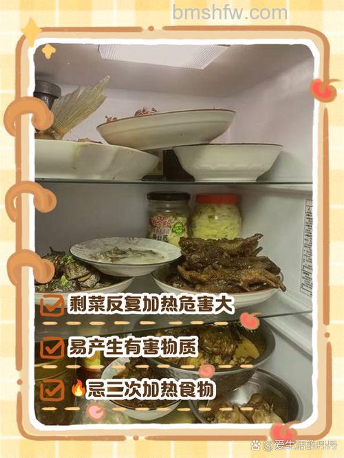 将温的菜放进冰箱的影响：温度、保质期与能源消耗详解