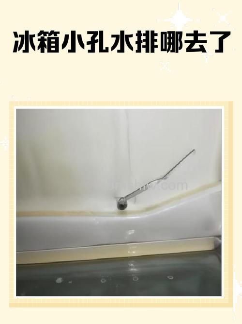 冰箱冷冻层的排水孔在哪里?位置及清理方法详解