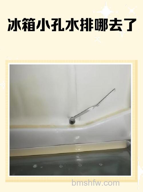 双开门冰箱排水管在什么位置?位置介绍与维护详解