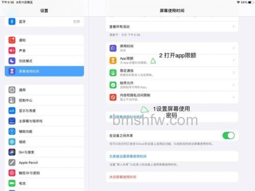 iPad 2021怎么设置应用锁?通用访问限制中隐藏程序