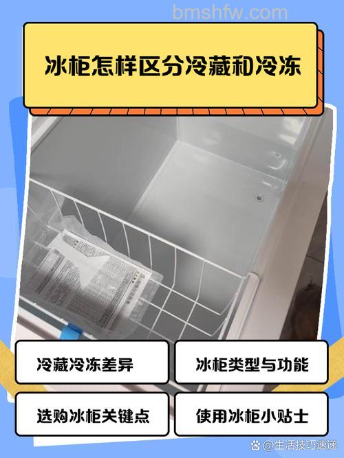 冰柜强冷和冷冻哪个冻得快?速冻对比【详解】