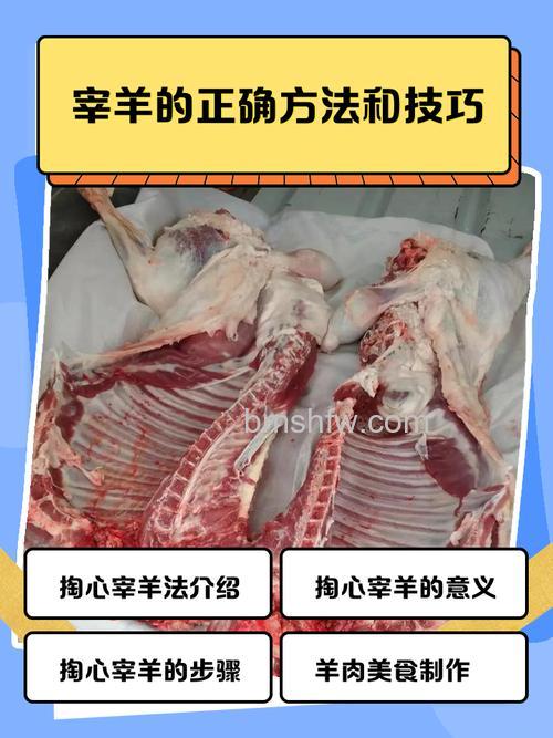 羊肉放在保鲜里有味了怎么处理?详细处理方法