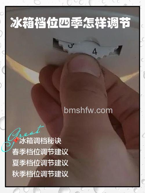 夏天的冰箱一般调多少度？温度设置技巧详解