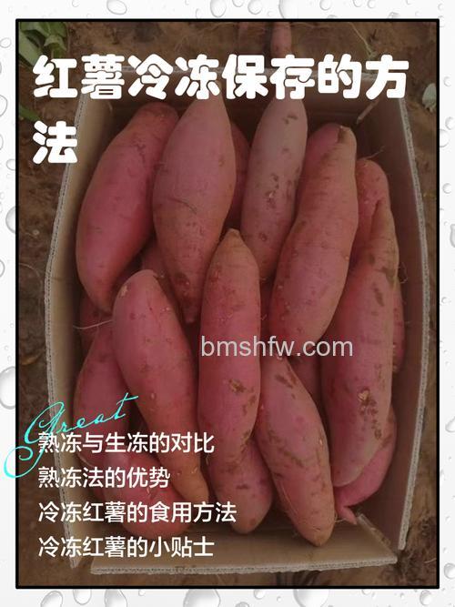 冰箱里冻过的红薯是否可以食用?营养流失与变质风险详解