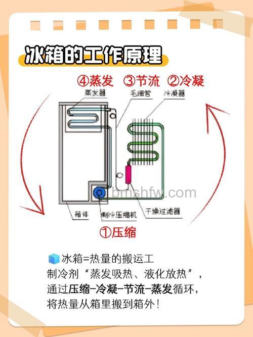 0度保鲜的冰箱怎样工作?原理及使用方法【详解】