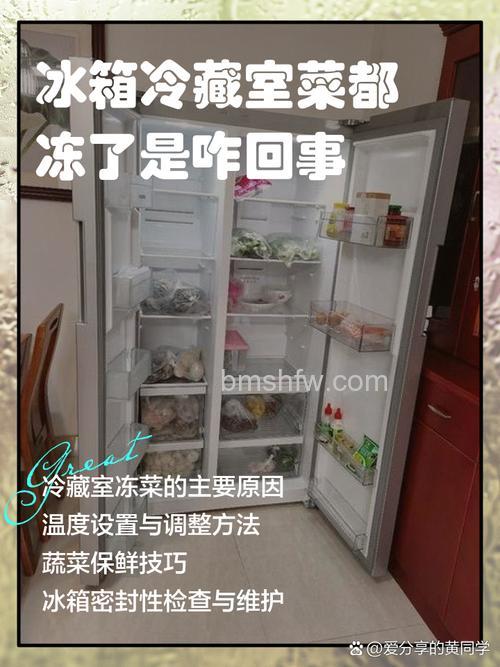 美菱冰箱冷藏室菜总冻是什么原因？原因及解决方法详解