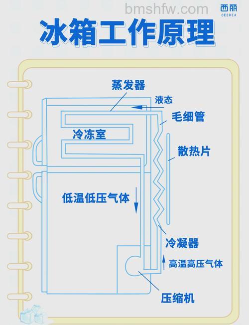 冰箱大数字与制冷有什么关系?冰箱的制冷原理介绍【详解】