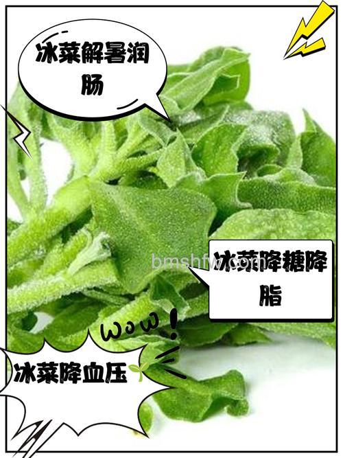 冰箱保鲜结冰蔬菜冻伤怎么办?处理冻伤的蔬菜方法【详解】