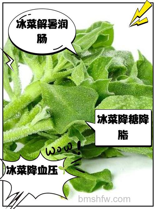 风冷冰箱菜容易坏的原因及解决方法【详解】