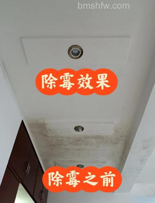家里墙壁发霉开空调除湿有用吗?效果分析与解决方法