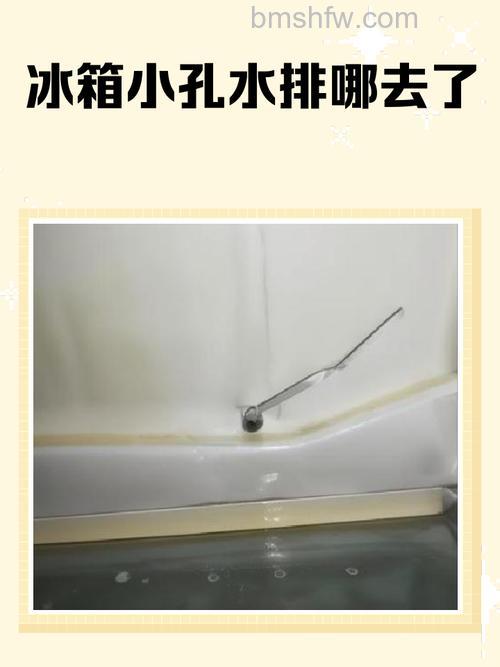 冰箱排水孔排水后水槽在哪里?位置介绍与清理方法