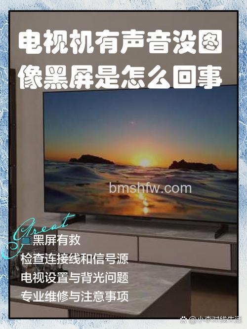 东芝液晶电视有声音没图像是怎么办 东芝液晶电视黑屏原因介绍 【详解】