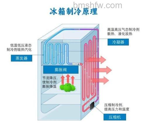风冷冰箱冷凝器在哪？位置与工作原理【详解】