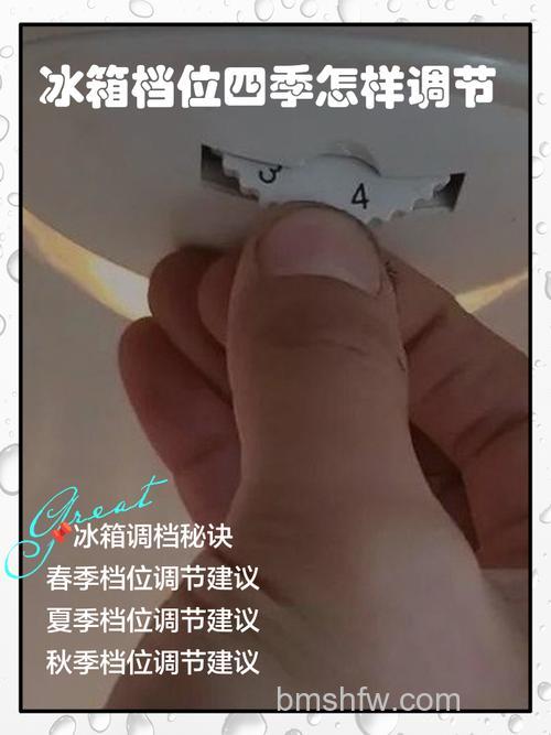 夏天如何调节冰箱温度?确保冷藏室正常起冰块