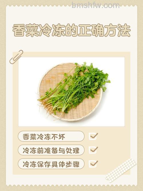 菜放冷冻里边再拿出来会坏掉吗?冷冻与解冻影响全解析