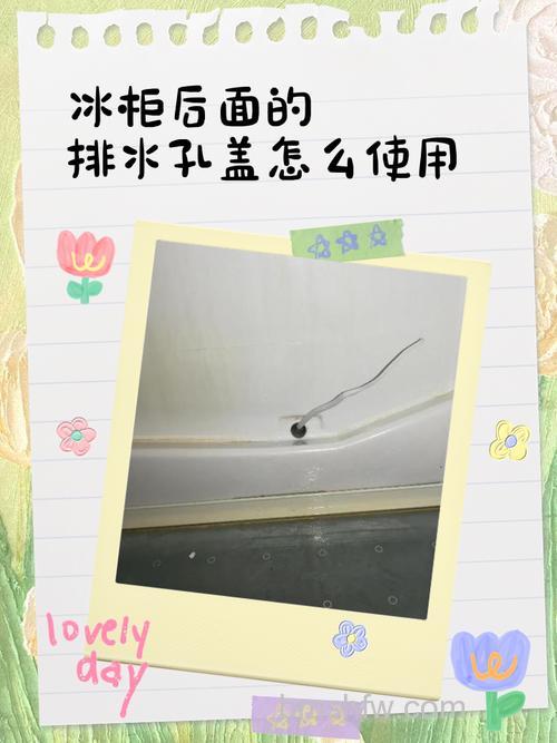 冰柜排水孔是否需要打开?如何正确打开与维护