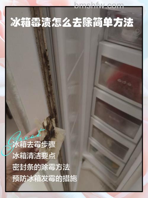 怎样防止冰箱保鲜室发霉?详细方法全解析