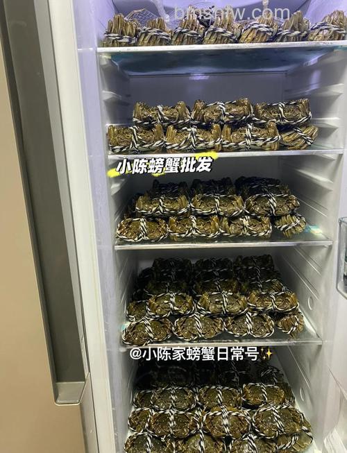 螃蟹放冰箱多少度合适?正确存放方法与步骤【详解】