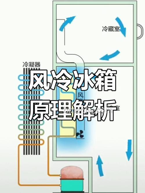 风冷冰箱出风口有风吗?原理与效果详解