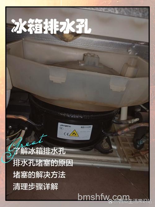 如何正确清理冰箱排水孔?简单步骤与注意事项