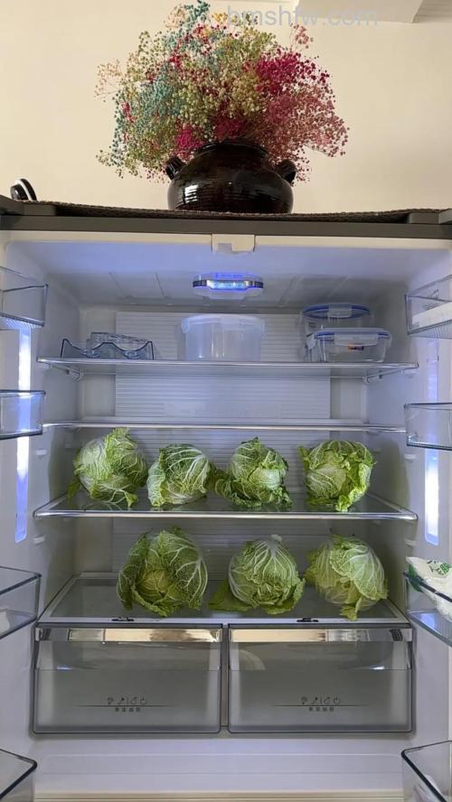 白菜放冰箱里冻了还能吃吗?能放多久?详细解答