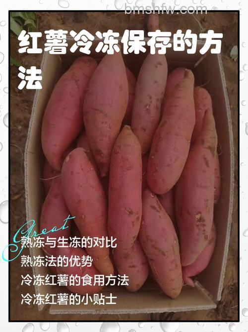 红薯可以放冰箱冷冻吗？红薯在冰箱能放多久及储存详解